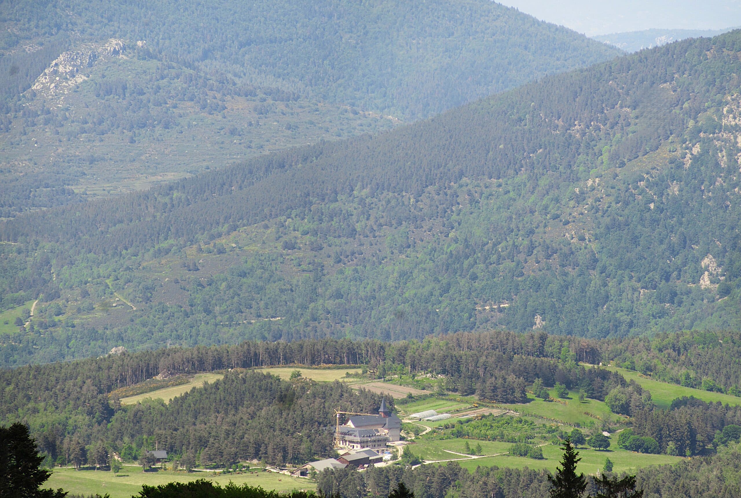 IMG_4450_stitch(1)